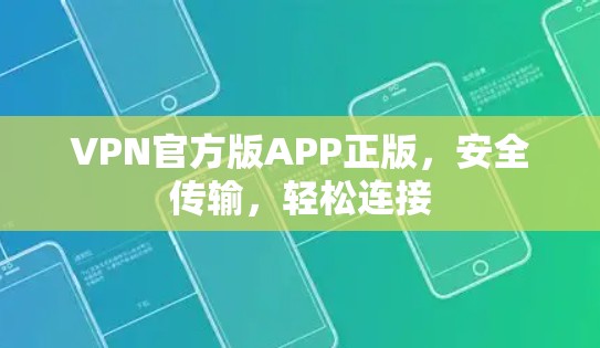 VPN官方版APP正版，安全传输，轻松连接