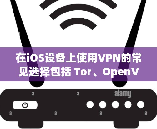 在iOS设备上使用VPN的常见选择包括 Tor、OpenVPN、Secp-bit 和 VLC VPN。以下是这些软件的详细介绍
