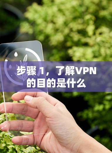 步骤 1，了解VPN的目的是什么