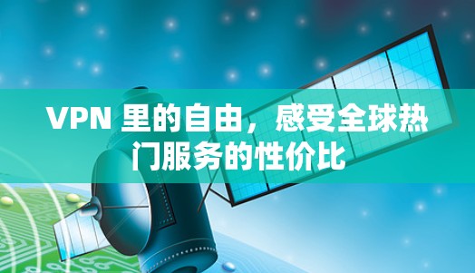 VPN 里的自由，感受全球热门服务的性价比