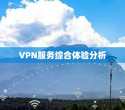 VPN服务综合体验分析