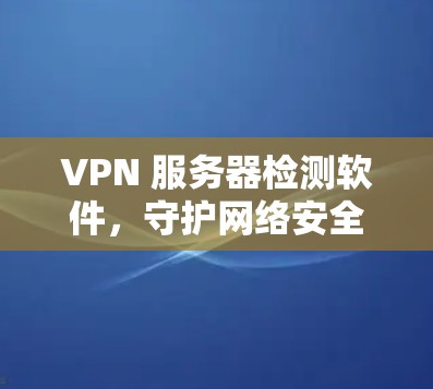 VPN 服务器检测软件，守护网络安全的屏障