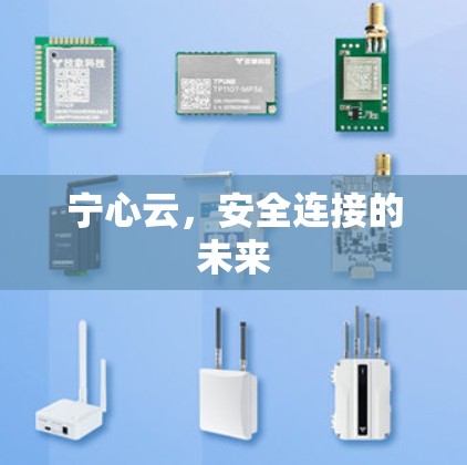 宁心云，安全连接的未来