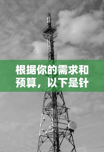 根据你的需求和预算，以下是针对VPN代理软件的建议